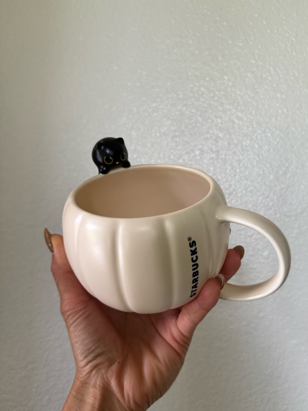 Starbucks Pumpkin Black Cat Ceramic Mug
